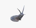 Snail Metal 3D-Modell
