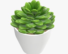 Artificial Cactus Composition 02 3D model