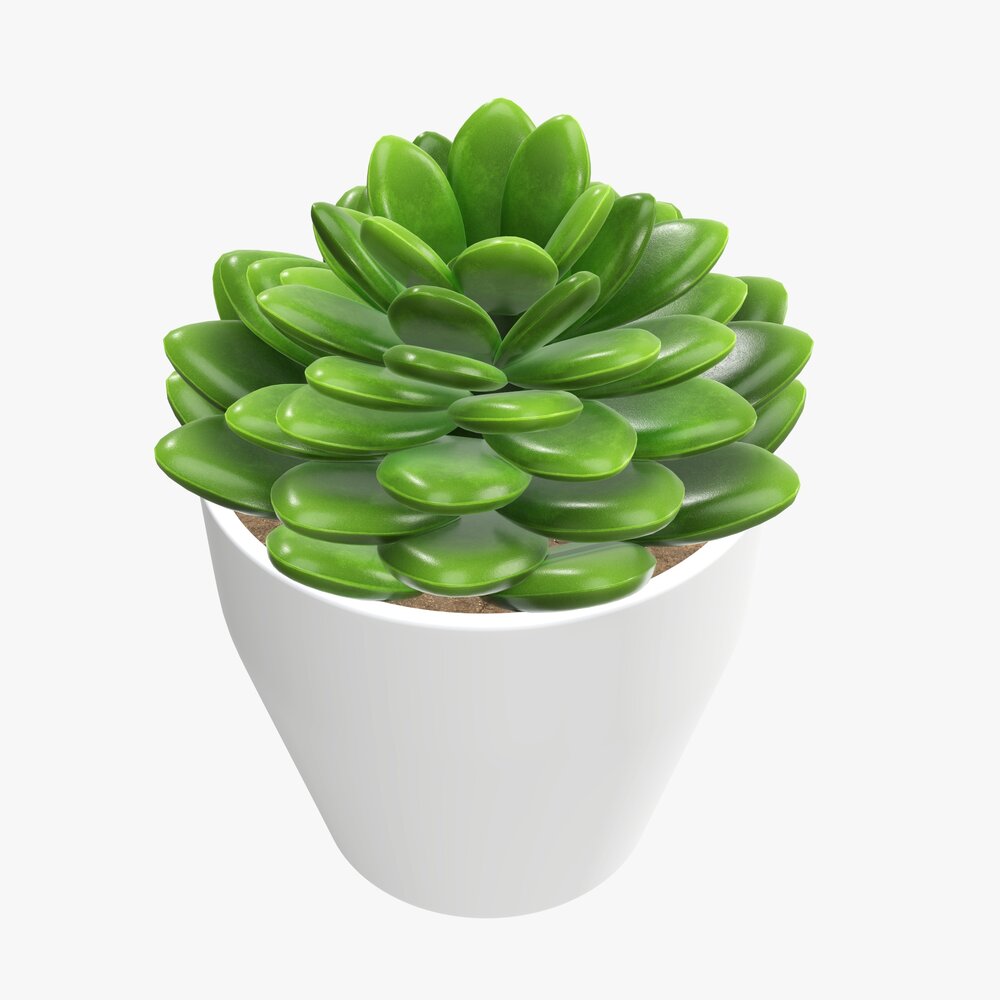 Artificial Cactus Composition 02 3D 모델 