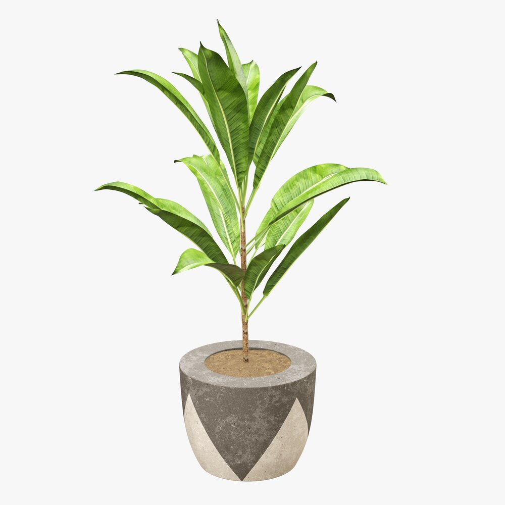 Artificial Plant 04 3D модель