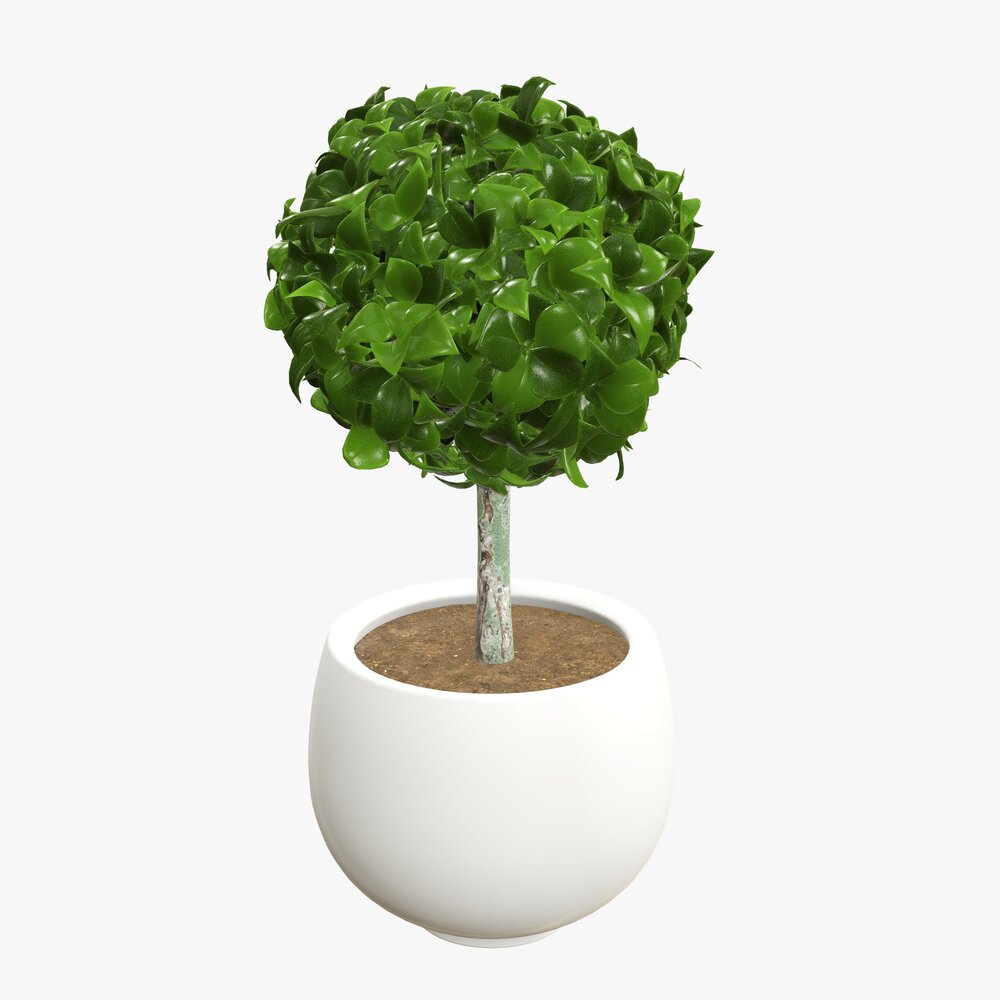 Artificial Plant 07 3D модель