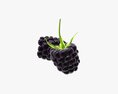 Blackberry Modello 3D