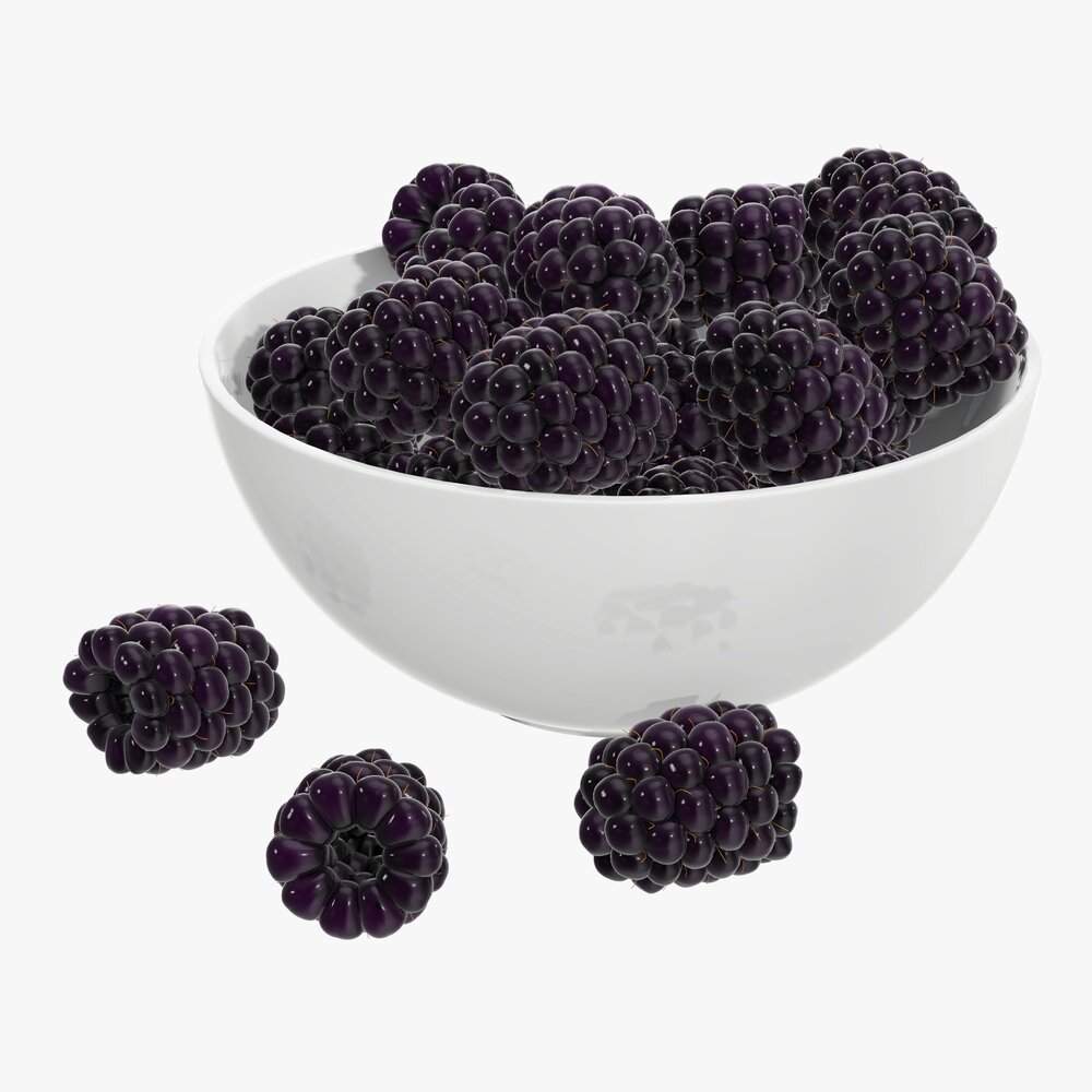 Blackberry In Bowl 3D 모델 