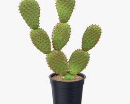 Cactus In Black Plastic Pot 3D модель
