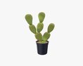 Cactus In Black Plastic Pot Modello 3D