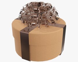 Christmas Gift Wrapped 09 Modello 3D