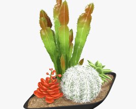 Decorative Plant Composition 01 3D-Modell