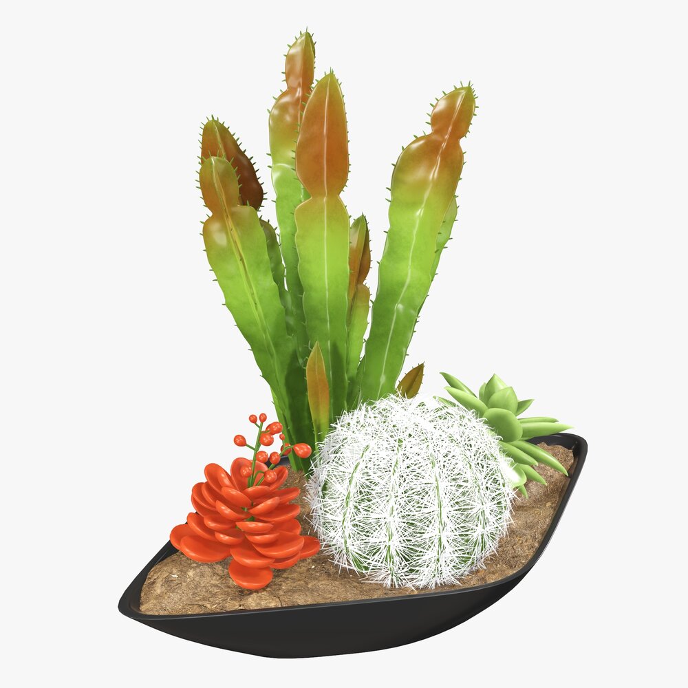 Decorative Plant Composition 01 3D 모델 