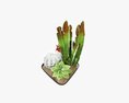 Decorative Plant Composition 01 3Dモデル