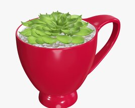 Decorative Plant In Cup 3D model