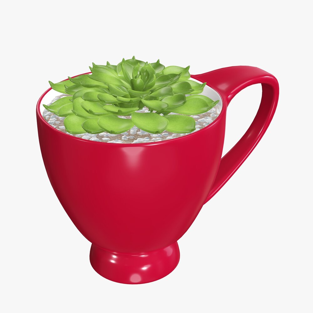 Decorative Plant In Cup Modèle 3D
