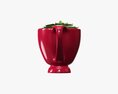 Decorative Plant In Cup 3D-Modell