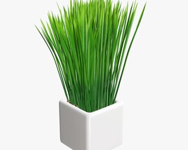 Decorative Potted Long Grass 3D 모델 