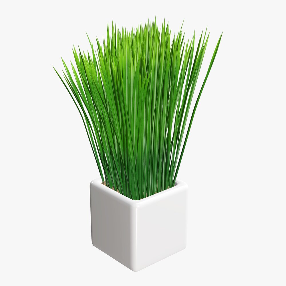 Decorative Potted Long Grass 3D model