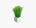 Decorative Potted Long Grass 3D модель