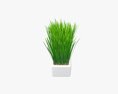 Decorative Potted Long Grass 3D-Modell