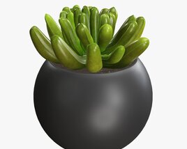 Decorative Potted Plant 01 3D model