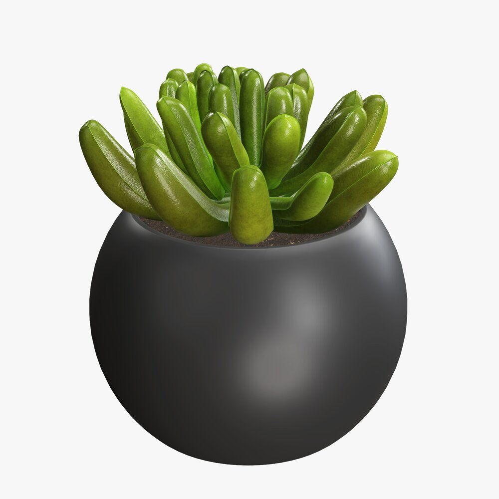 Decorative Potted Plant 01 3D-Modell