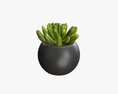 Decorative Potted Plant 01 3D-Modell