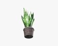 Decorative Potted Plant 02 3D-Modell