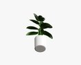 Decorative Potted Plant 03 3D 모델 