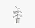 Decorative Potted Plant 03 3D模型