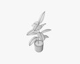 Decorative Potted Plant 03 3D-Modell
