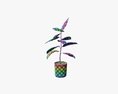 Decorative Potted Plant 03 3D-Modell