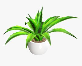 Decorative Potted Plant 04 3D 모델 