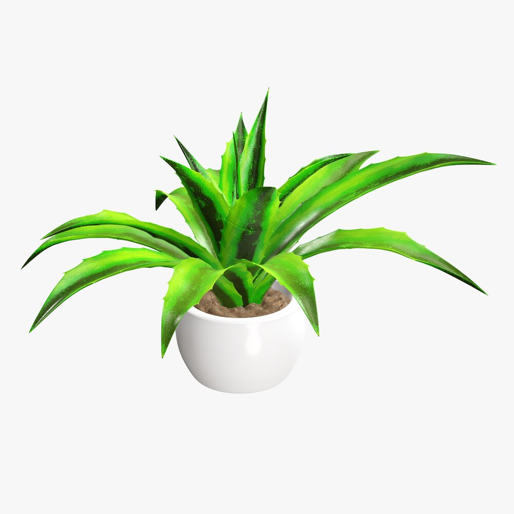 Decorative Potted Plant 04 3D-Modell