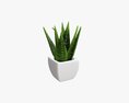 Decorative Potted Plant 05 3D-Modell
