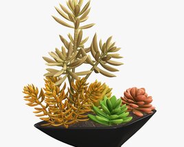 Decorative Potted Plant 06 3D model