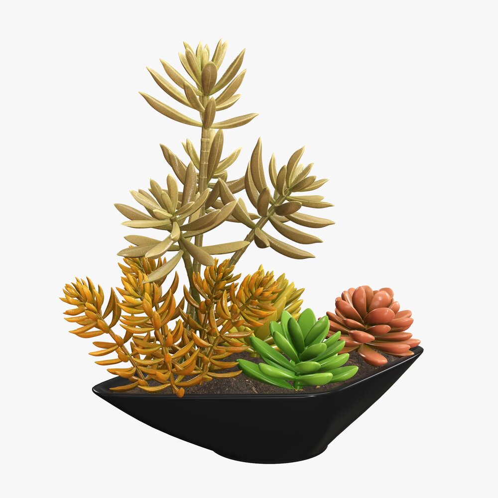 Decorative Potted Plant 06 3D model