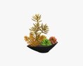 Decorative Potted Plant 06 Modelo 3D