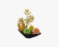 Decorative Potted Plant 06 3D 모델 