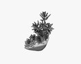 Decorative Potted Plant 06 3D-Modell