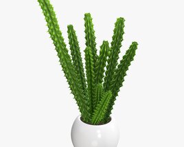Decorative Potted Plant 07 3D 모델 