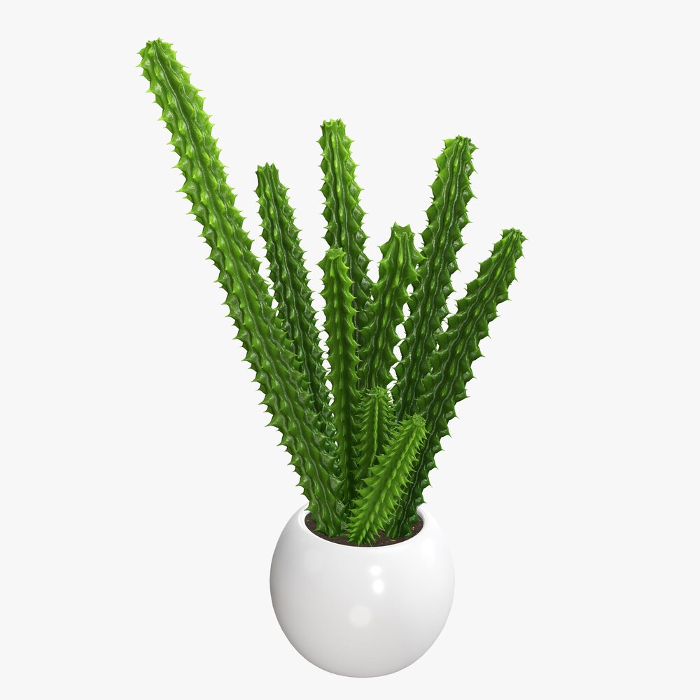 Decorative Potted Plant 07 3D model