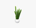 Decorative Potted Plant 07 3D-Modell