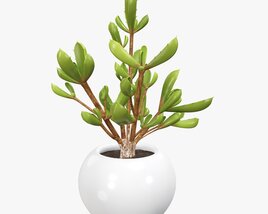 Decorative Potted Plant 08 3D 모델 