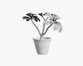Desert Rose Or Ping Bignonia In Flowerpot 3D 모델 