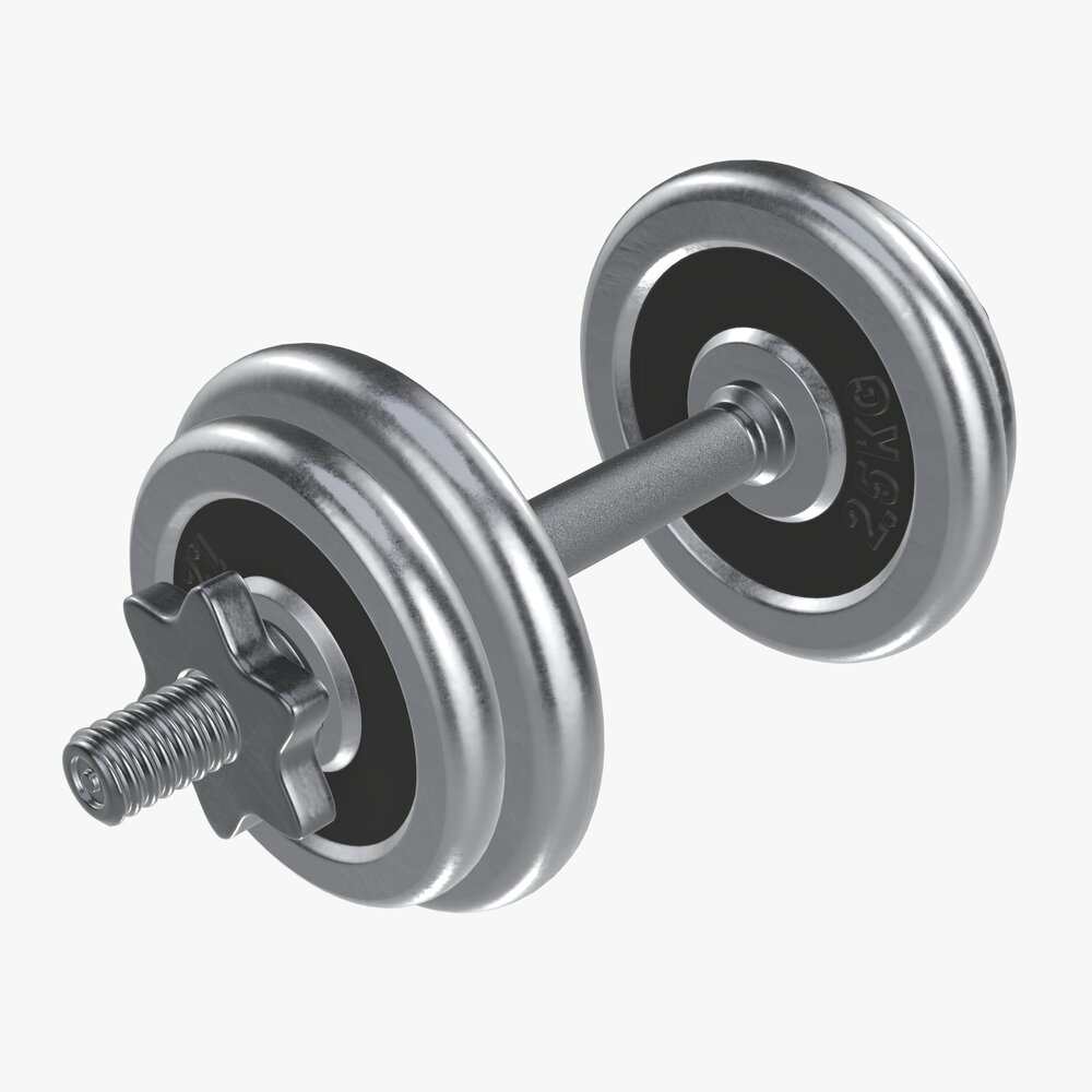 Dumbbell Handle With Weights 3D模型