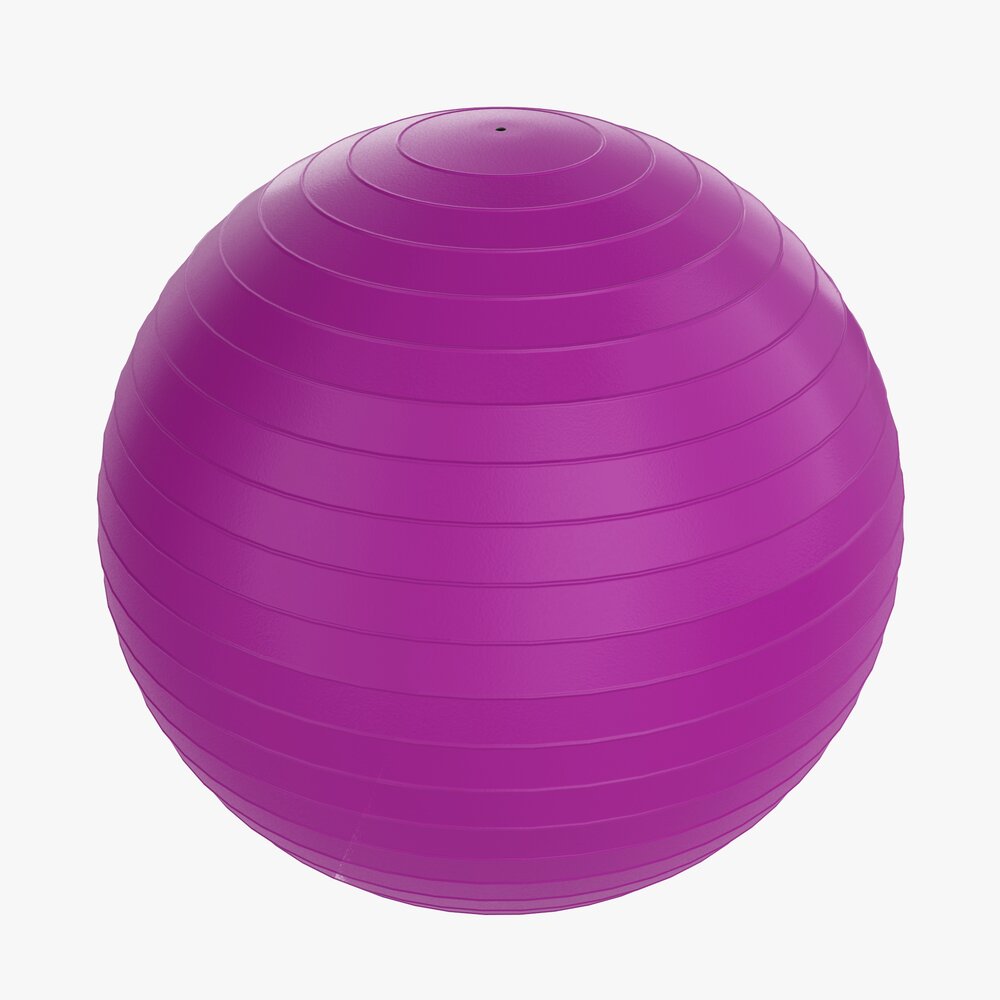 Fitness Ball 3D 모델 