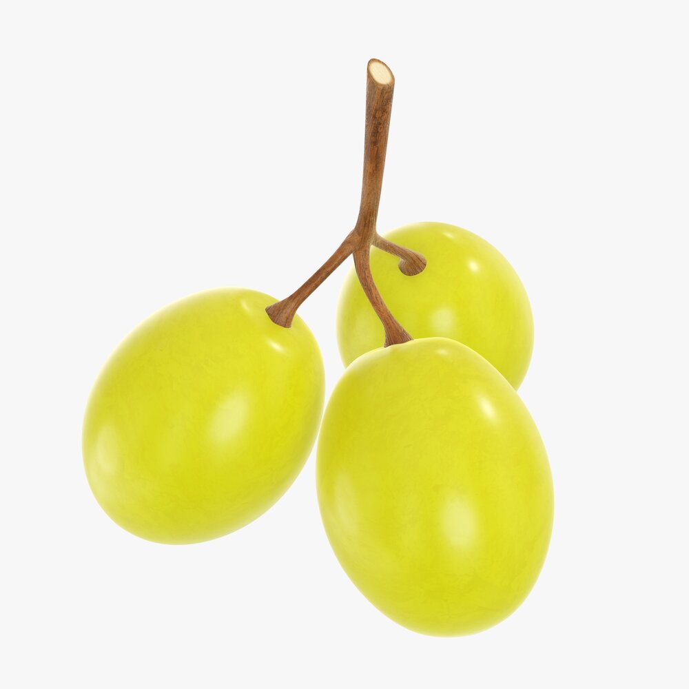 Grapes 01 3D 모델 