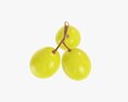 Grapes 01 3d model