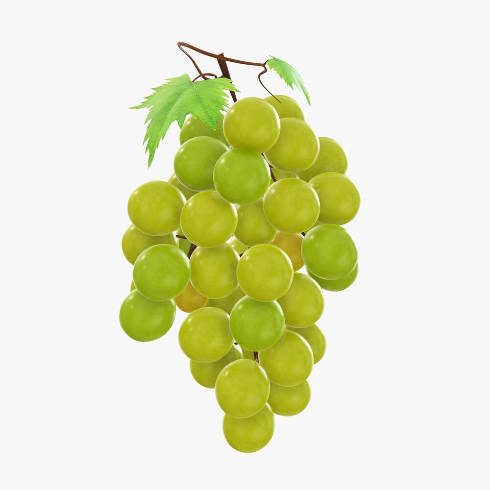Grapes 02 3D 모델 