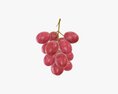 Grapes 03 3D-Modell