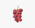 Grapes 03 3d model