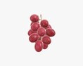 Grapes 03 3d model