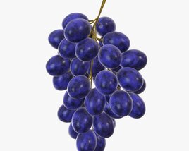 Grapes 04 3D модель
